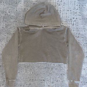 Perfect Crop aritzia hoodie